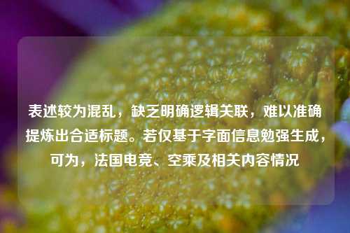 表述较为混乱,缺乏明确逻辑关联,难以准确提炼出合适标题。若仅基于字面信息勉强生成,可为,法国电竞、空乘及相关内容情况