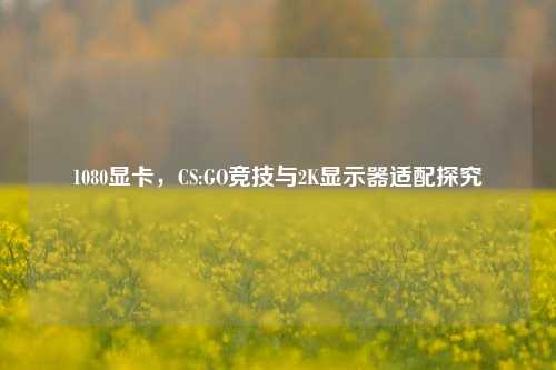 1080显卡,CS:GO竞技与2K显示器适配探究