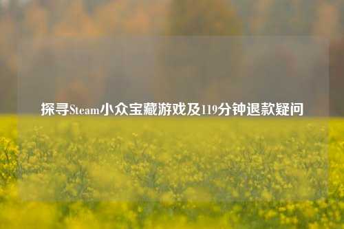 探寻Steam小众宝藏游戏及119分钟退款疑问