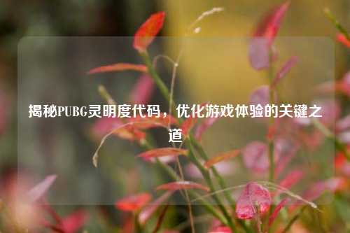 揭秘PUBG灵明度代码,优化游戏体验的关键之道