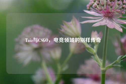 Taiz与CSGO,电竞领域的别样传奇