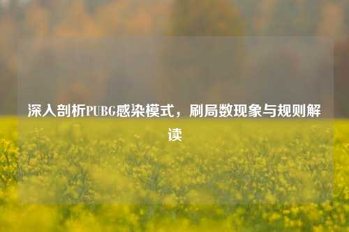 深入剖析PUBG感染模式,刷局数现象与规则解读