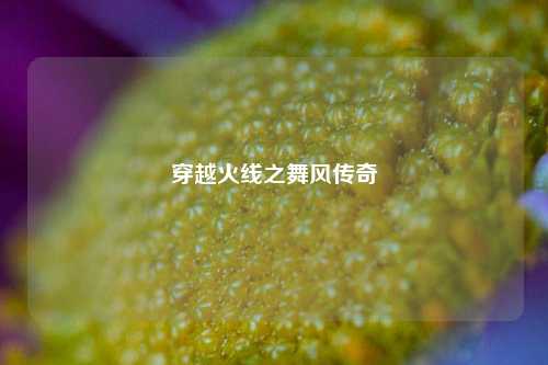 穿越火线之舞风传奇