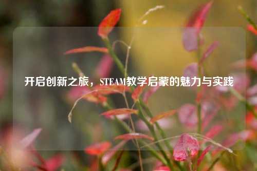 开启创新之旅,STEAM教学启蒙的魅力与实践