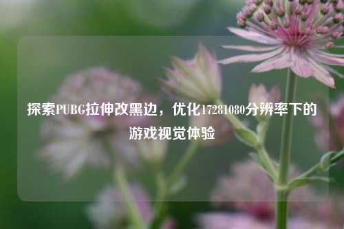 探索PUBG拉伸改黑边,优化17281080分辨率下的游戏视觉体验