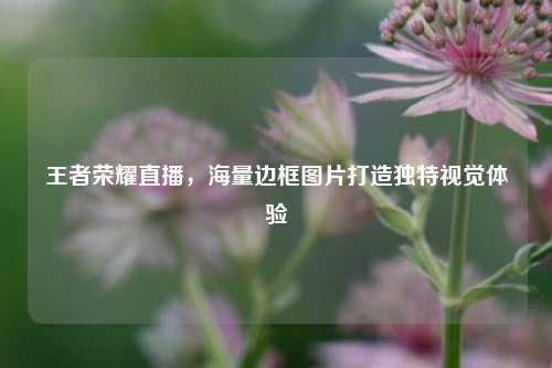 王者荣耀直播,海量边框图片打造独特视觉体验