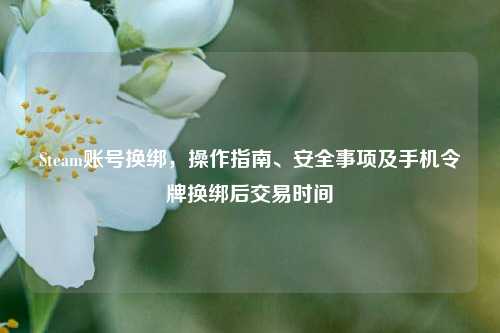 Steam账号换绑,操作指南、安全事项及手机令牌换绑后交易时间