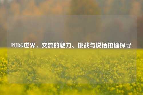 PUBG世界,交流的魅力、挑战与说话按键探寻