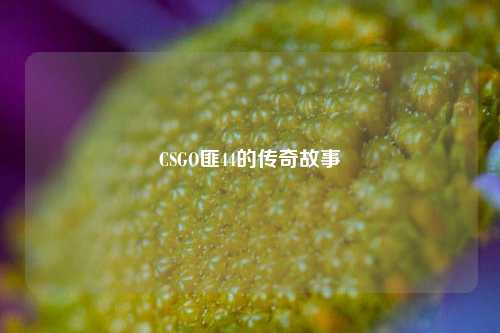 CSGO匪44的传奇故事