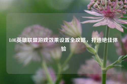 LOL英雄联盟游戏效果设置全攻略,打造绝佳体验