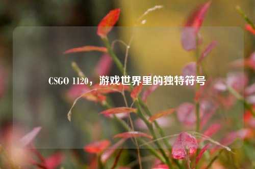 CSGO 1120,游戏世界里的独特符号