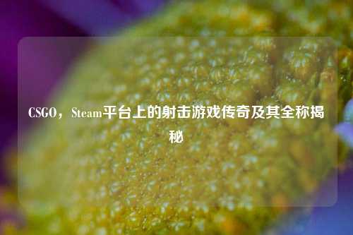 CSGO,Steam平台上的射击游戏传奇及其全称揭秘