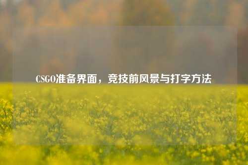 CSGO准备界面,竞技前风景与打字 ***