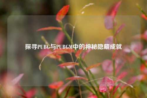 探寻PUBG与PUBGM中的神秘隐藏成就