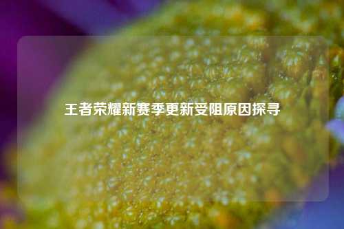王者荣耀新赛季更新受阻原因探寻
