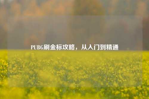 PUBG刷金标攻略,从入门到精通