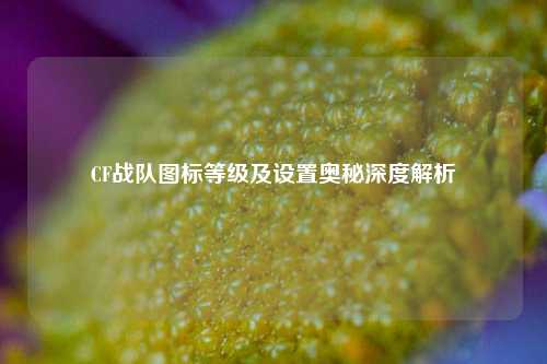 CF战队图标等级及设置奥秘深度解析