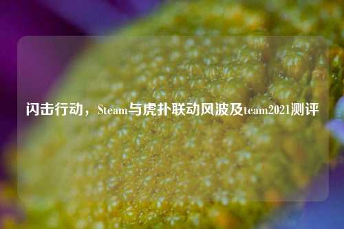 闪击行动,Steam与虎扑联动风波及team2021测评