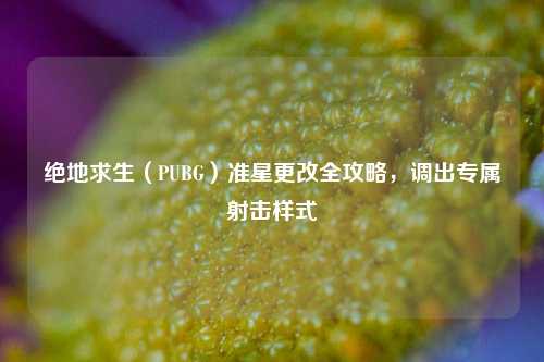 绝地求生(PUBG)准星更改全攻略,调出专属射击样式