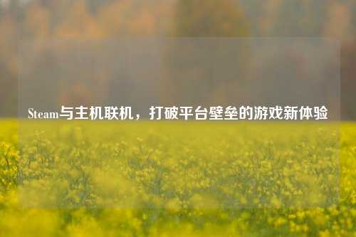 Steam与主机联机,打破平台壁垒的游戏新体验