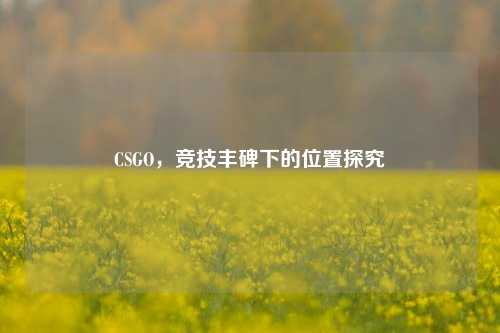 CSGO,竞技丰碑下的位置探究
