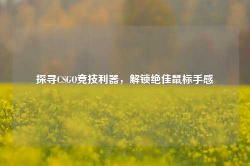 探寻CSGO竞技利器,解锁绝佳鼠标手感