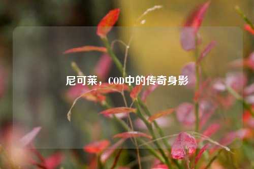 尼可莱,COD中的传奇身影
