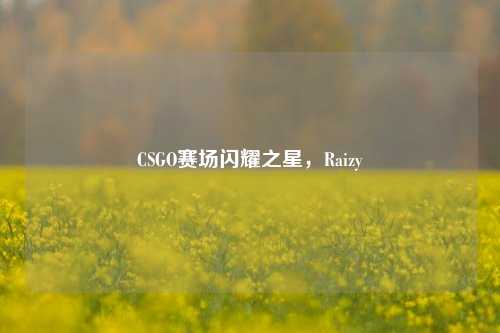 CSGO赛场闪耀之星,Raizy