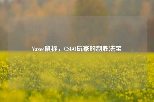 Vaxee鼠标,CSGO玩家的制胜法宝