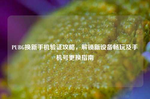 PUBG换新手机验证攻略,解锁新设备畅玩及手机号更换指南