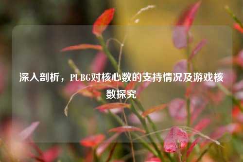 深入剖析,PUBG对核心数的支持情况及游戏核数探究