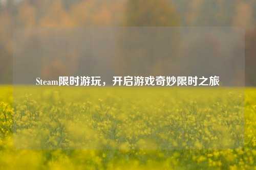 Steam限时游玩,开启游戏奇妙限时之旅
