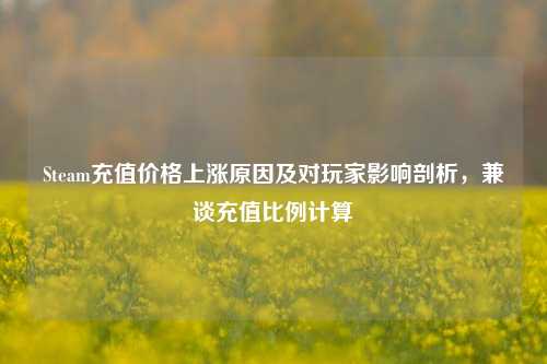 Steam充值价格上涨原因及对玩家影响剖析,兼谈充值比例计算
