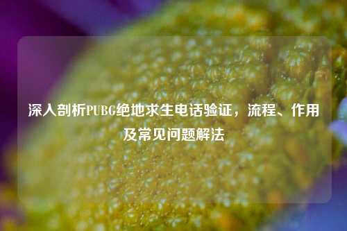 深入剖析PUBG绝地求生 *** 验证,流程、作用及常见问题解法