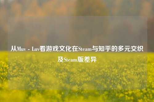 从Muv - Luv看游戏文化在Steam与知乎的多元交织及Steam版差异