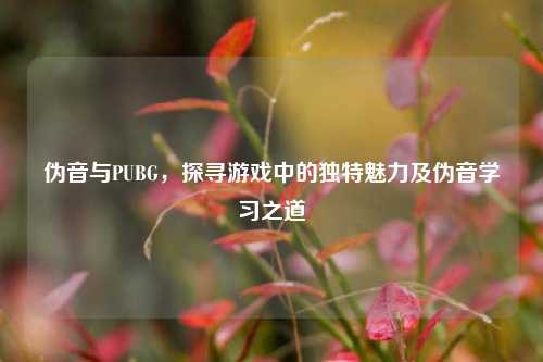 伪音与PUBG,探寻游戏中的独特魅力及伪音学习之道