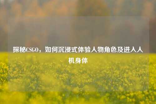 探秘CSGO,如何沉浸式体验人物角色及进入人机身体