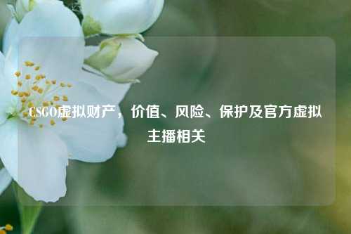 CSGO虚拟财产,价值、风险、保护及官方虚拟主播相关
