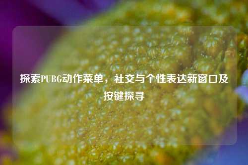 探索PUBG动作菜单,社交与个性表达新窗口及按键探寻