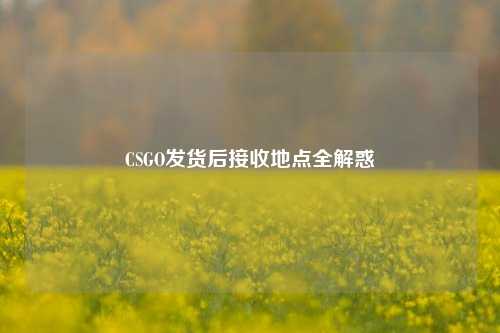 CSGO发货后接收地点全解惑