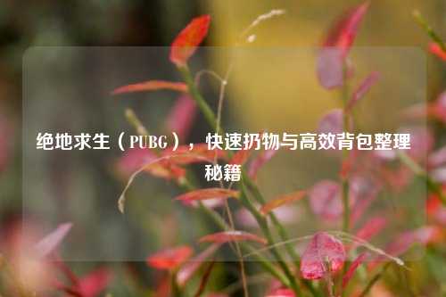 绝地求生(PUBG),快速扔物与高效背包整理秘籍
