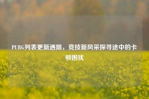 PUBG列表更新遇阻,竞技新风采探寻途中的卡顿困扰