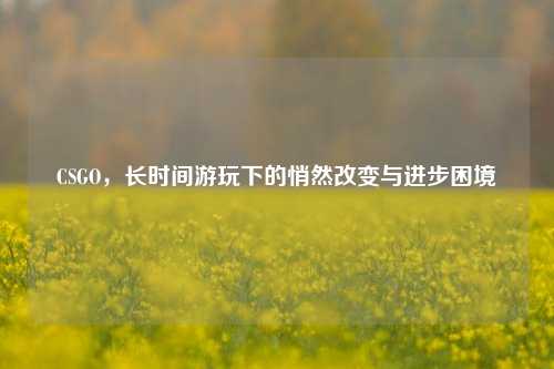 CSGO,长时间游玩下的悄然改变与进步困境