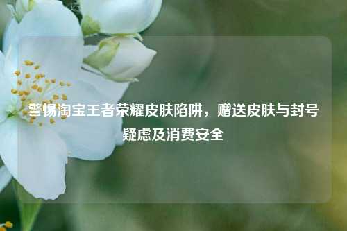 警惕 *** 王者荣耀皮肤陷阱,赠送皮肤与封号疑虑及消费安全