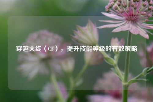 穿越火线(CF),提升技能等级的有效策略