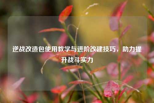 逆战改造包使用教学与进阶改建技巧,助力提升战斗实力