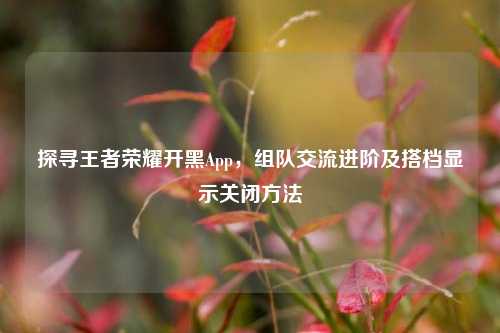 探寻王者荣耀开黑App,组队交流进阶及搭档显示关闭 ***