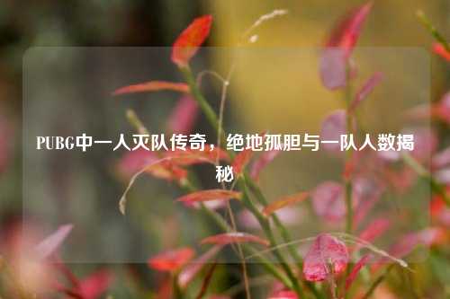 PUBG中一人灭队传奇,绝地孤胆与一队人数揭秘