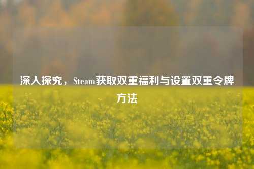 深入探究,Steam获取双重福利与设置双重令牌 ***