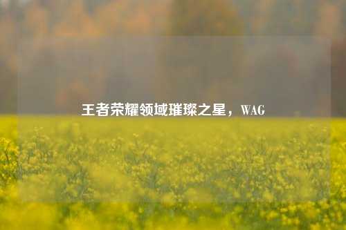 王者荣耀领域璀璨之星,WAG